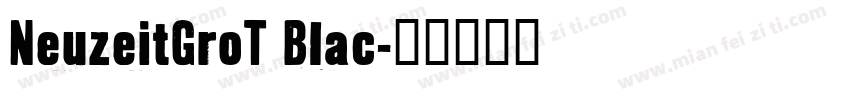 NeuzeitGroT Blac字体转换